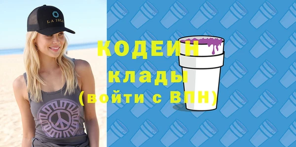 2c-b Гусев