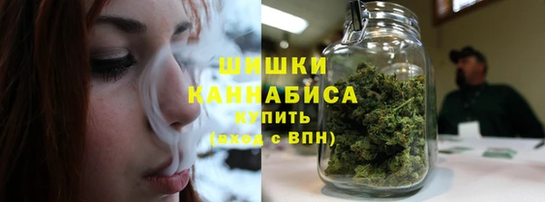 крисы Гусь-Хрустальный