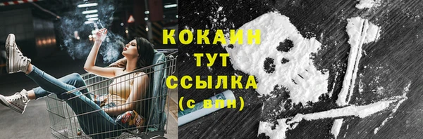 крисы Гусь-Хрустальный