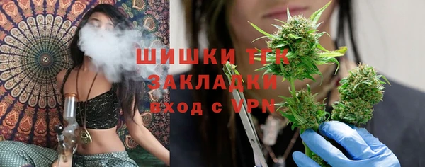 2c-b Гусев