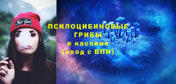 2c-b Гусев